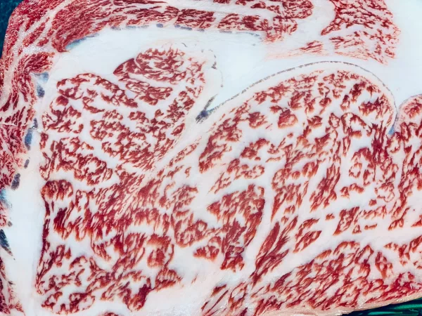 Ribeye Wagyu Kagoshima A5+ - Figura 7