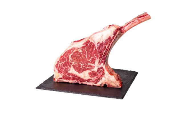 Tomahawk Frisona Baltica